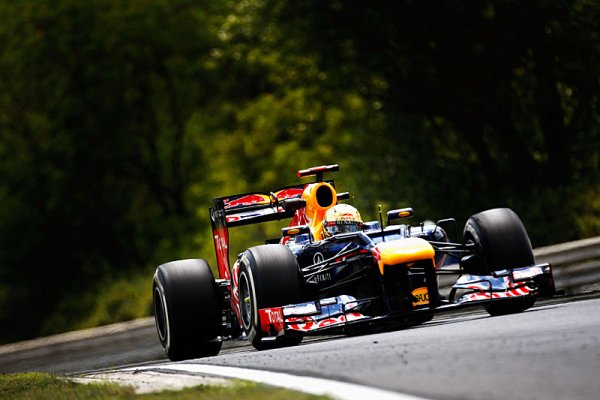 Zákaz foukaných difuzorů Red Bull srazil, přiznává Newey