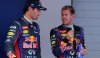 Mark Webber a Sebastian Vettel se udobřili