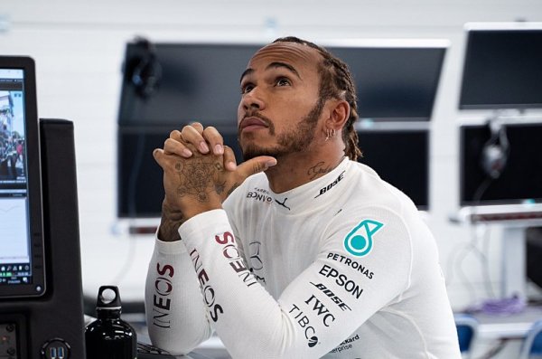 Ochránce psů a koček Hamilton Ochránce psů a koček Hamilton