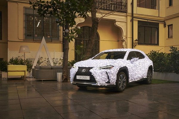 Lexus jako květinová zahrada