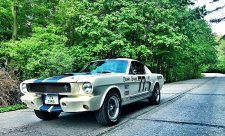 Přehlídka plnokrevných mustangů opět v Praze!