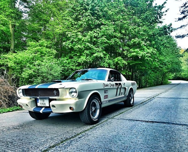 Přehlídka plnokrevných mustangů opět v Praze!
